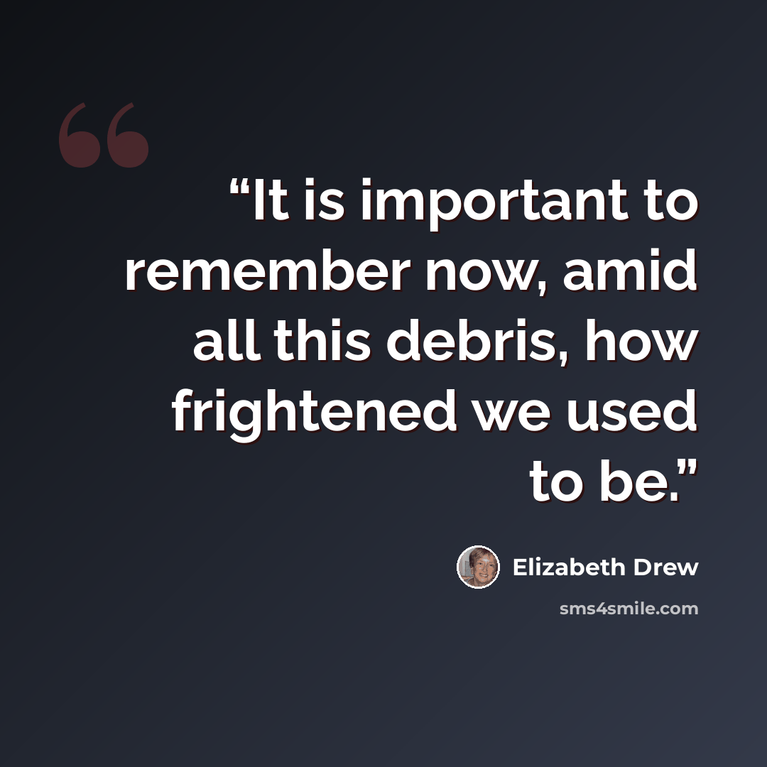 “It is important to remember now, amid all this debris, how frightened we used to be.” quote by Elizabeth Drew