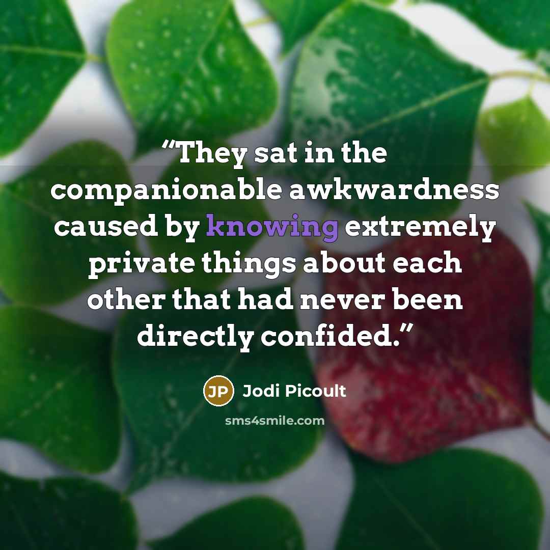 “They sat in the companionable awkwardness caused by knowing extremely private things about each other that had never been directly confided.” quote by Jodi Picoult