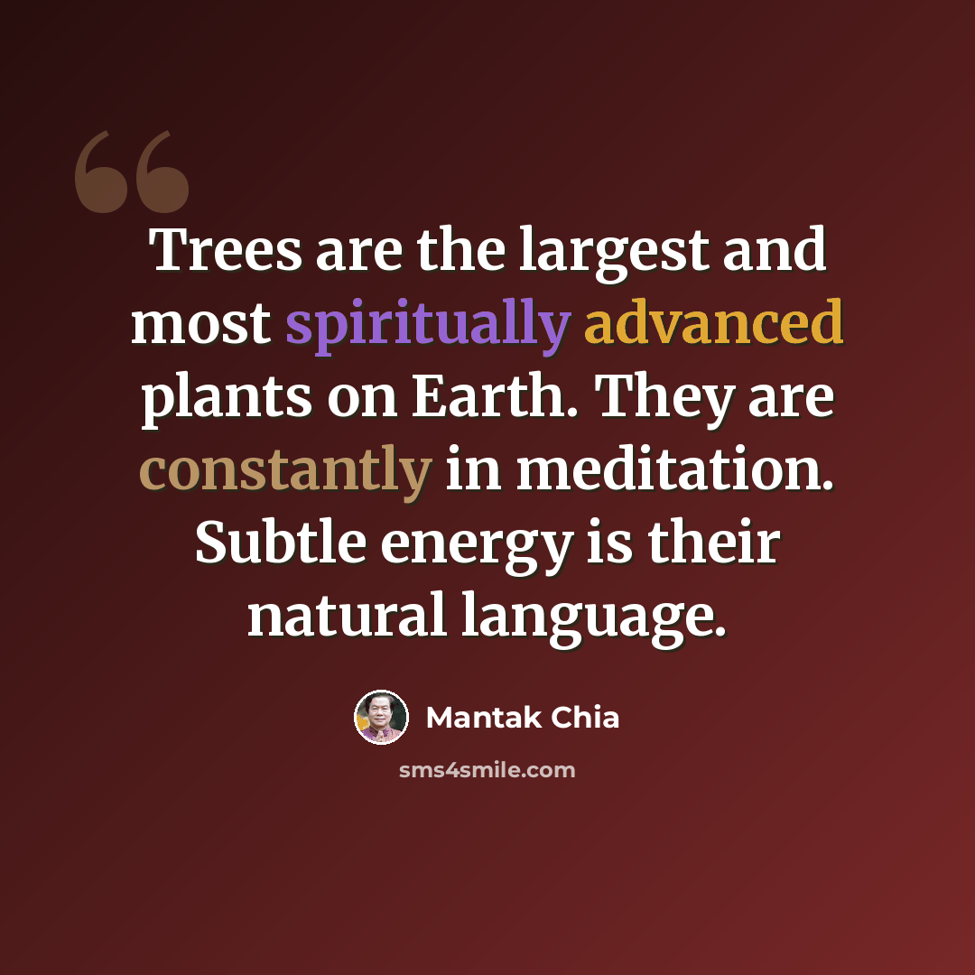 “Trees are the largest and most spiritually advanced plants on Earth. They are constantly in meditation. Subtle energy is their natural language.” quote by Mantak Chia