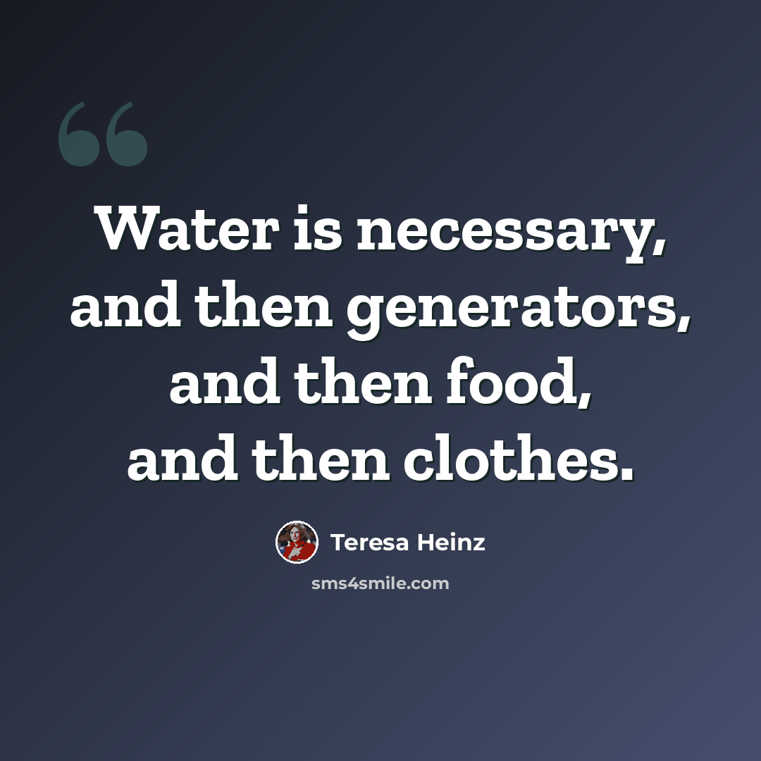 “Water is necessary, and then generators, and then food, and then clothes.” quote by Teresa Heinz