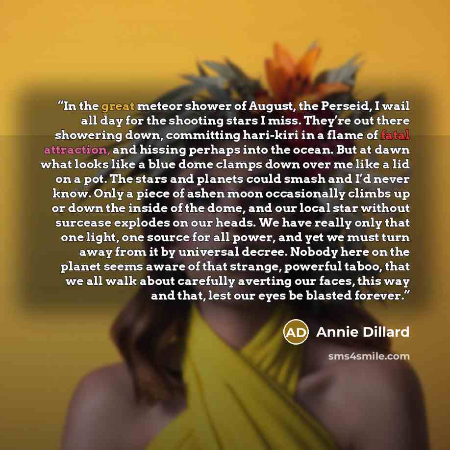 “In the great meteor shower of August, the Perseid, I wail all day for the shooting stars I miss. They’re out there showering down, committing hari-kiri in a flame of fatal attraction, and hissing perhaps into the ocean. But at dawn what looks like a blue dome clamps down over me like a lid on a…” quote by Annie Dillard