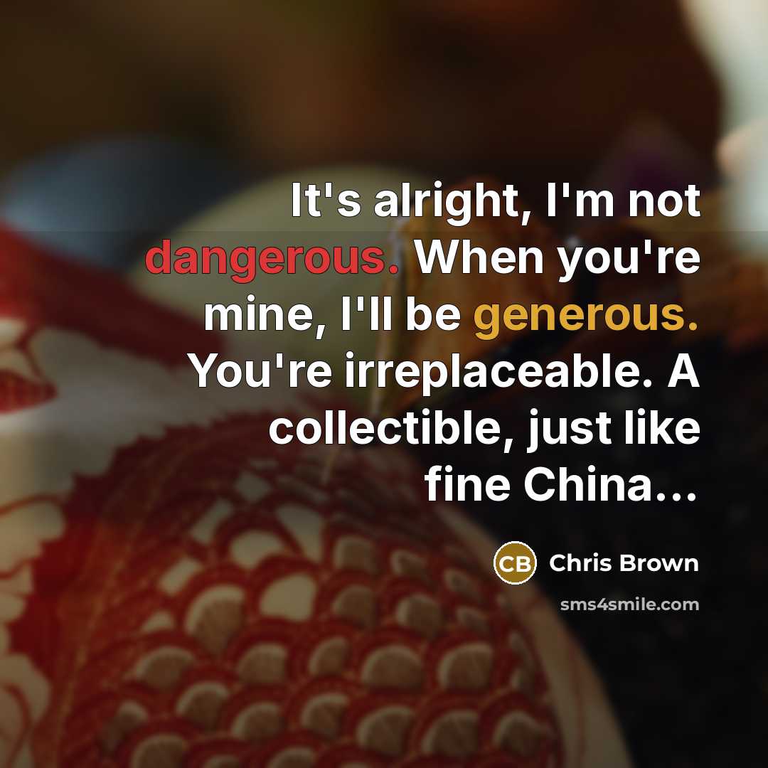 “It's alright, I'm not dangerous. When you're mine, I'll be generous. You're irreplaceable. A collectible, just like fine China...” quote by Chris Brown