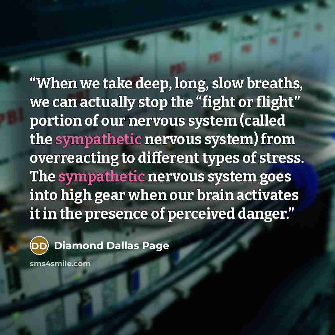 “When we take deep, long, slow breaths, we can actually stop the “fight or flight” portion of our nervous system (called the sympathetic nervous system) from overreacting to different types of stress. The sympathetic nervous system goes into high gear when our brain activates it in the presence of…” quote by Diamond Dallas Page