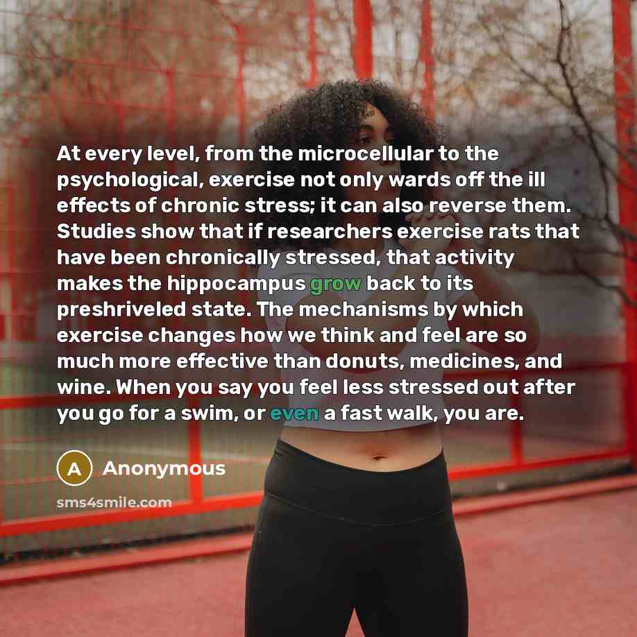 “At every level, from the microcellular to the psychological, exercise not only wards off the ill effects of chronic stress; it can also reverse them. Studies show that if researchers exercise rats that have been chronically stressed, that activity makes the hippocampus grow back to its…” quote by Anonymous