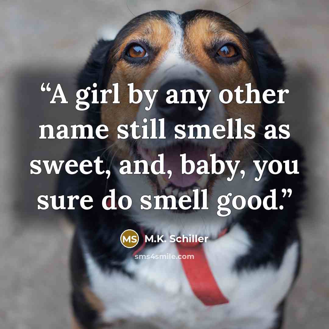 “A girl by any other name still smells as sweet, and, baby, you sure do smell good.” quote by M.K. Schiller