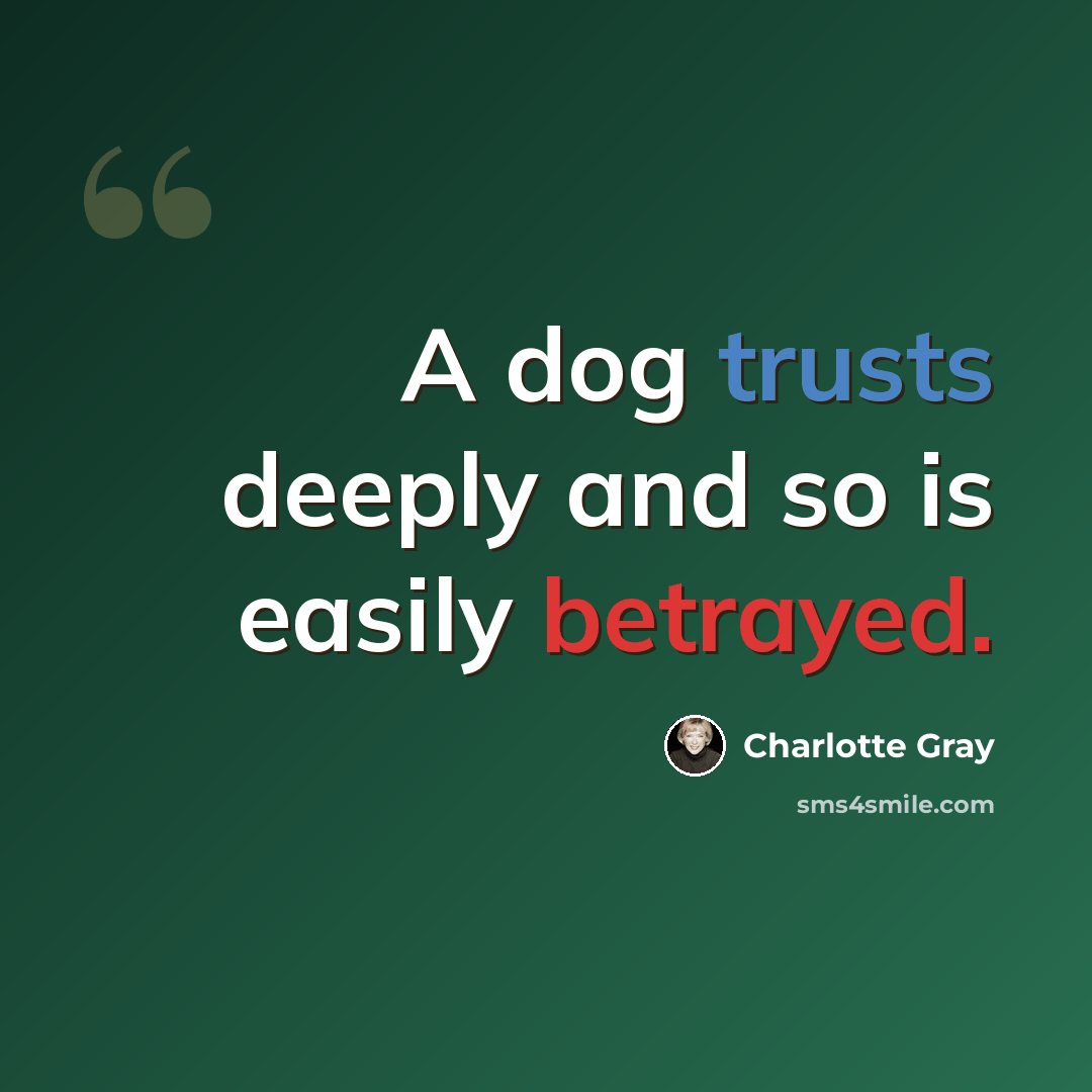 “A dog trusts deeply and so is easily betrayed.” quote by Charlotte Gray