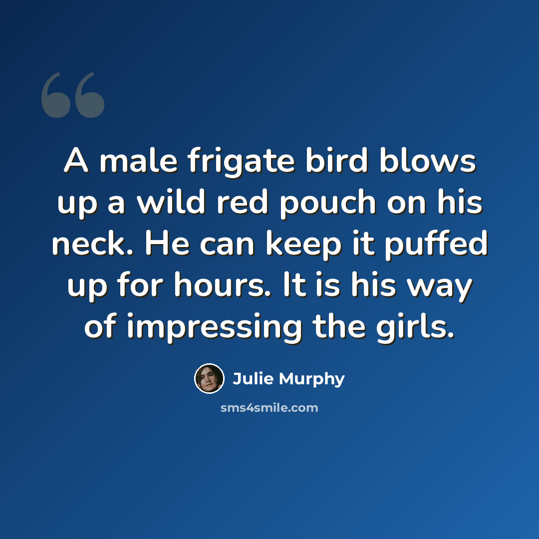 “A male frigate bird blows up a wild red pouch on his neck. He can keep it puffed up for hours. It is his way of impressing the girls.” quote by Julie Murphy