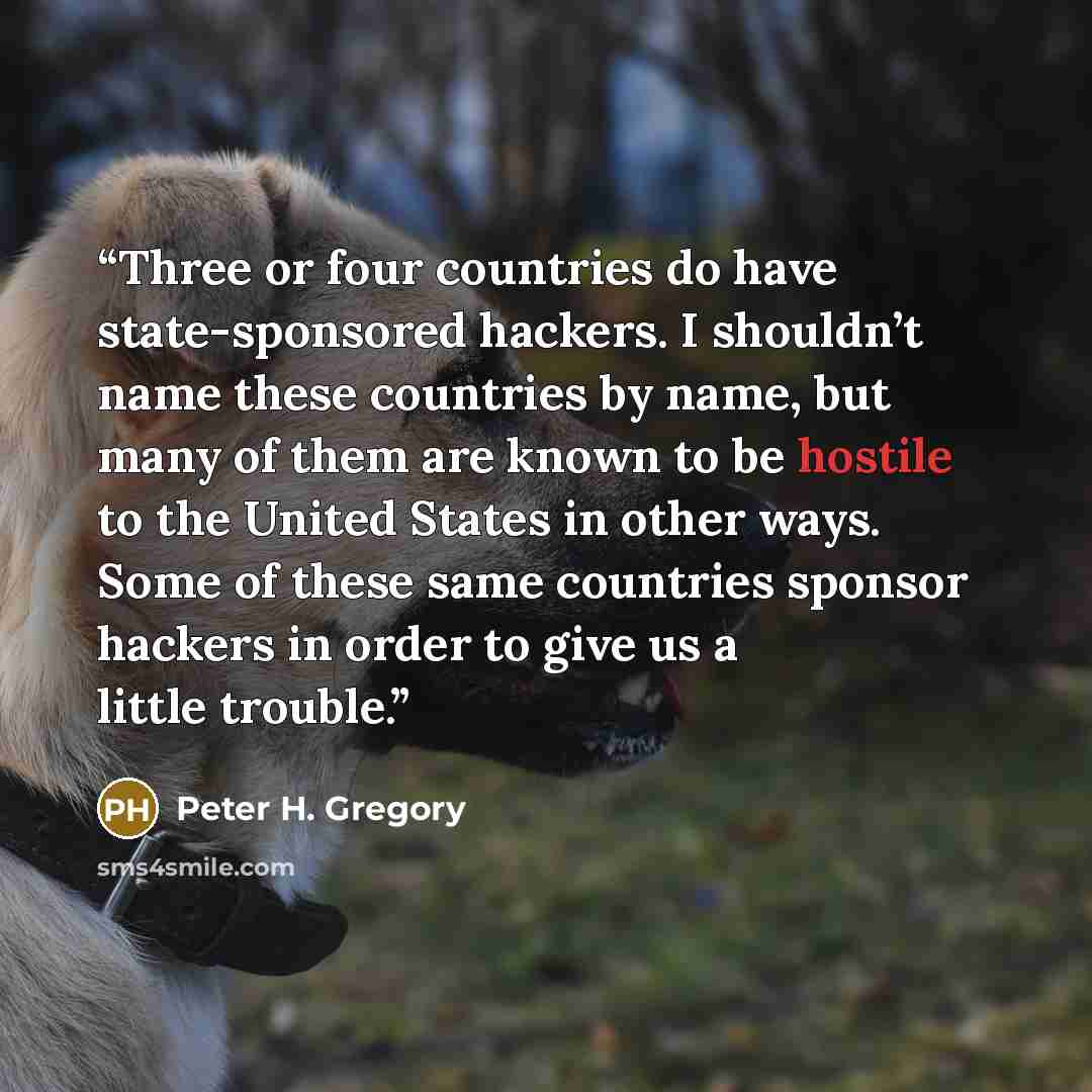 “Three or four countries do have state-sponsored hackers. I shouldn’t name these countries by name, but many of them are known to be hostile to the United States in other ways. Some of these same countries sponsor hackers in order to give us a little trouble.” quote by Peter H. Gregory