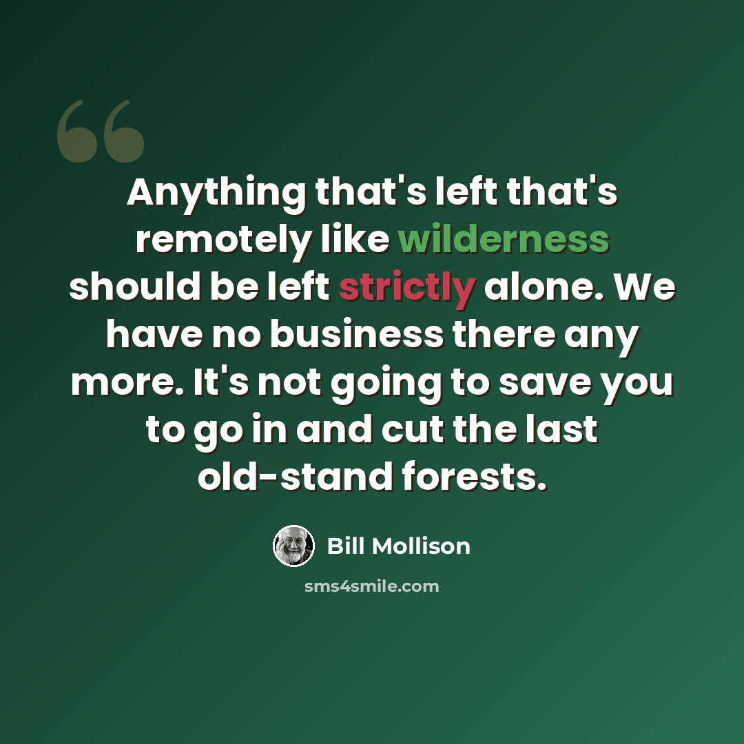 “Anything that's left that's remotely like wilderness should be left strictly alone. We have no business there any more. It's not going to save you to go in and cut the last old-stand forests.” quote by Bill Mollison