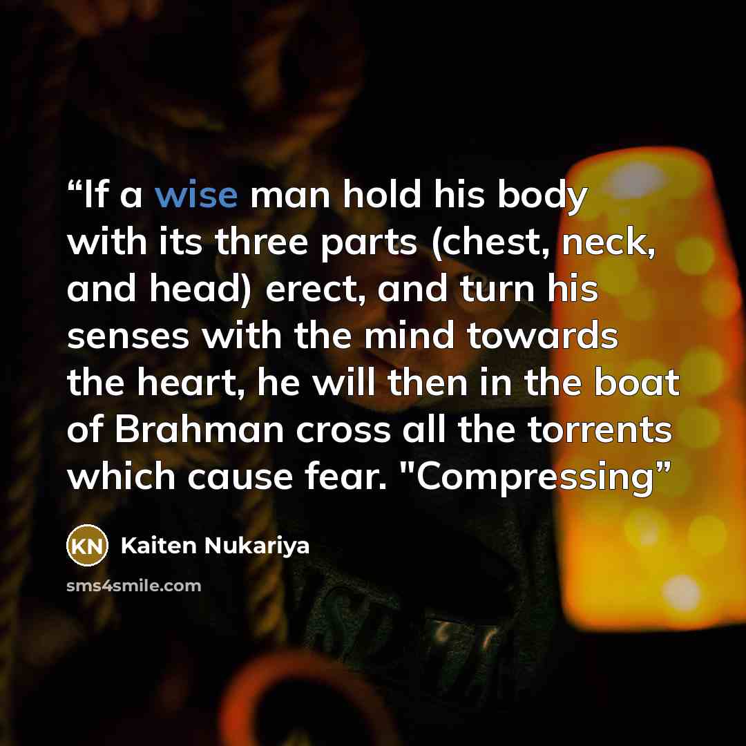 “If a wise man hold his body with its three parts (chest, neck, and head) erect, and turn his senses with the mind towards the heart, he will then in the boat of Brahman cross all the torrents which cause fear. "Compressing” quote by Kaiten Nukariya