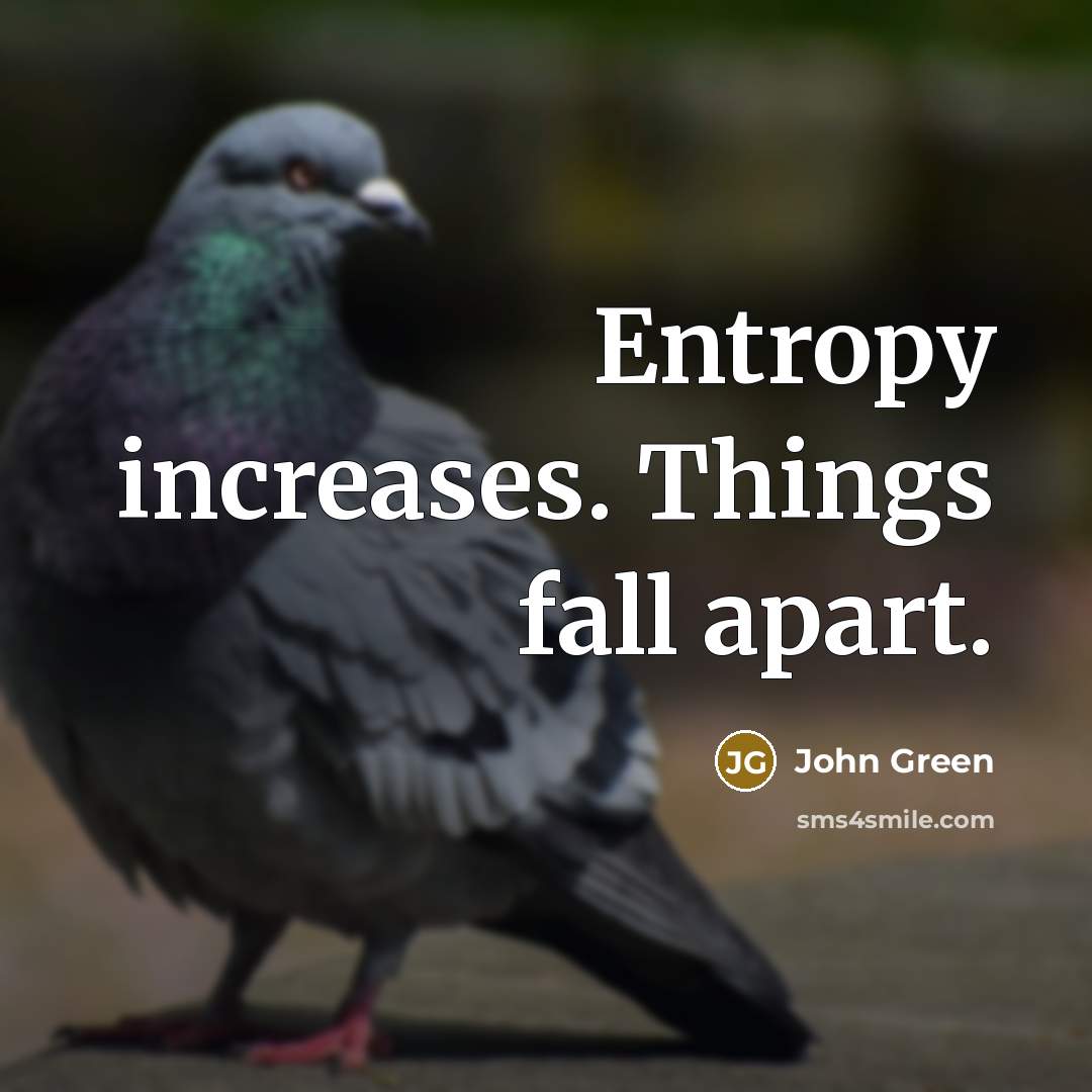 “Entropy increases. Things fall apart.” quote by John Green