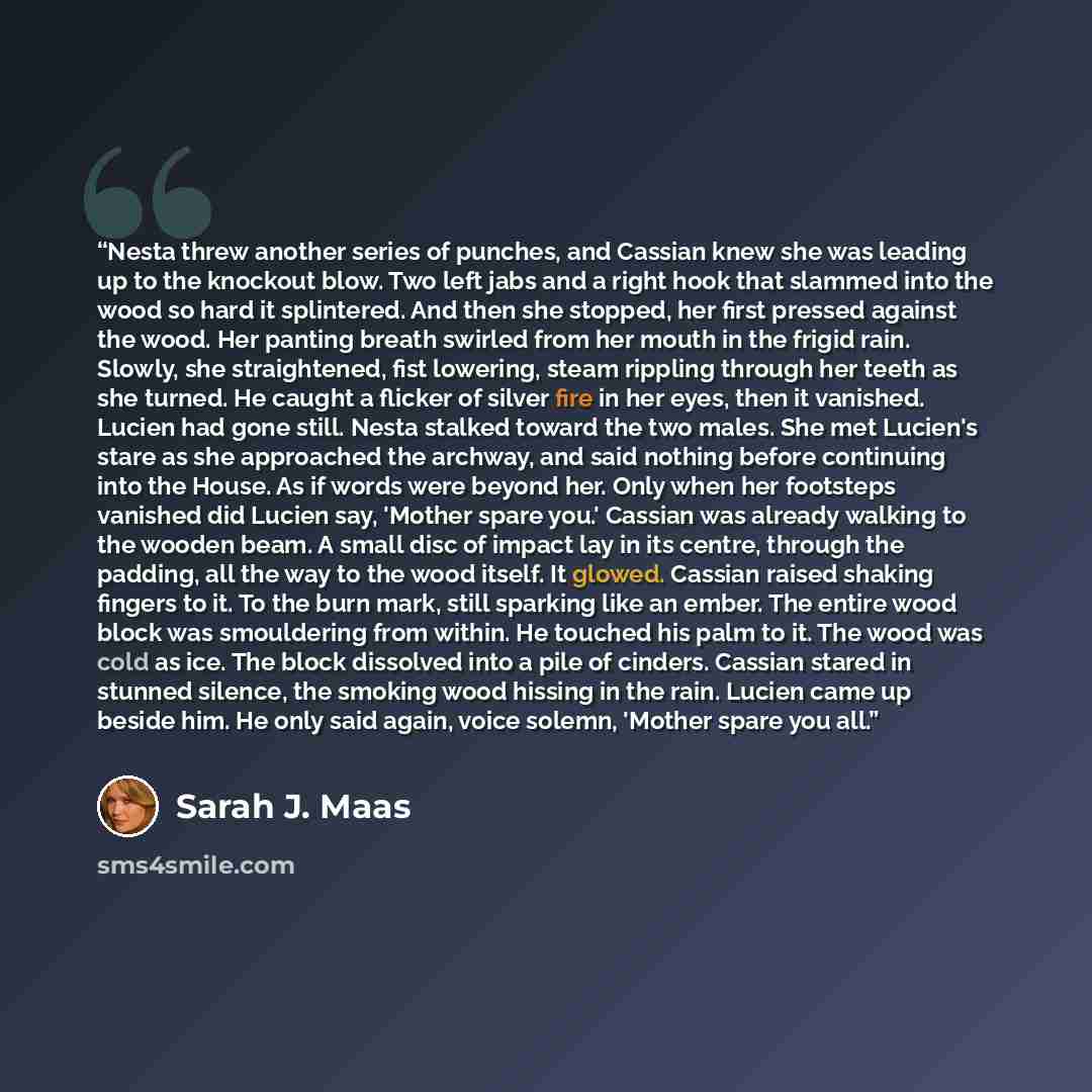 “Nesta threw another series of punches, and Cassian knew she was leading up to the knockout blow. Two left jabs and a right hook that slammed into the wood so hard it splintered. And then she stopped, her first pressed against the wood. Her panting breath swirled from her mouth in the frigid rain…” quote by Sarah J. Maas