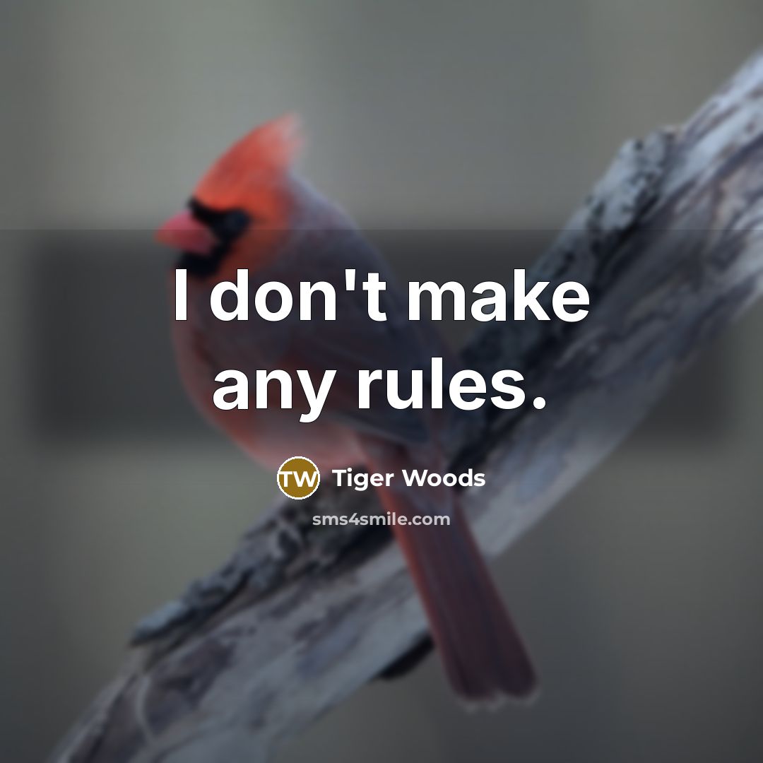 “I don't make any rules.” quote by Tiger Woods