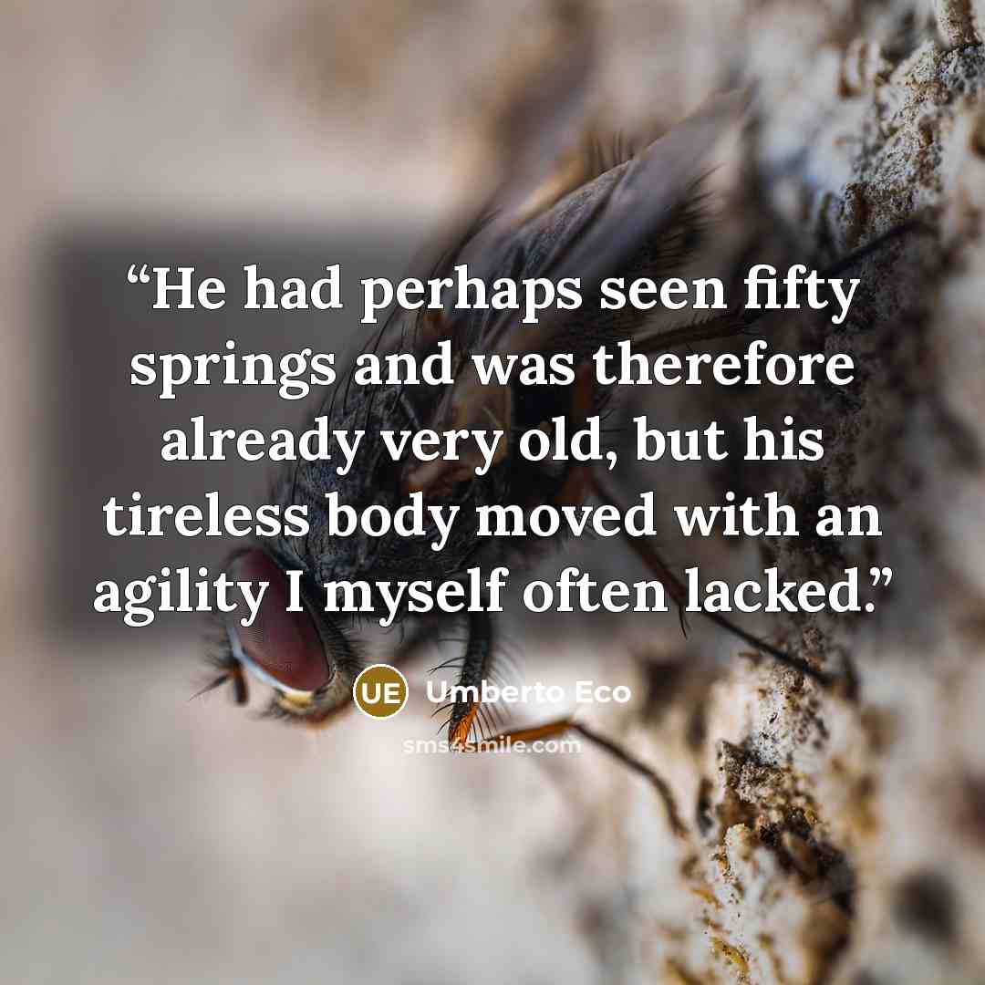 “He had perhaps seen fifty springs and was therefore already very old, but his tireless body moved with an agility I myself often lacked.” quote by Umberto Eco