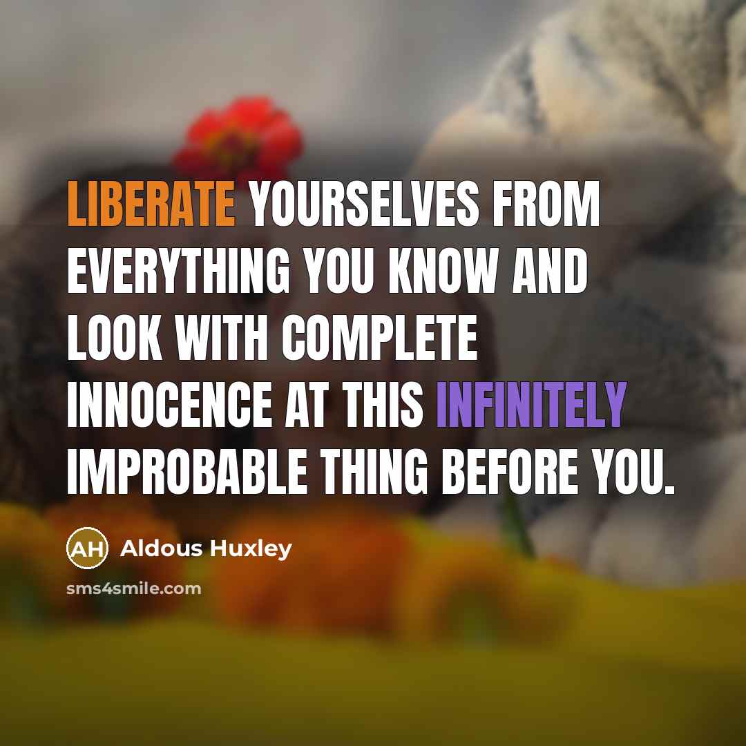 “Liberate yourselves from everything you know and look with complete innocence at this infinitely improbable thing before you.” quote by Aldous Huxley