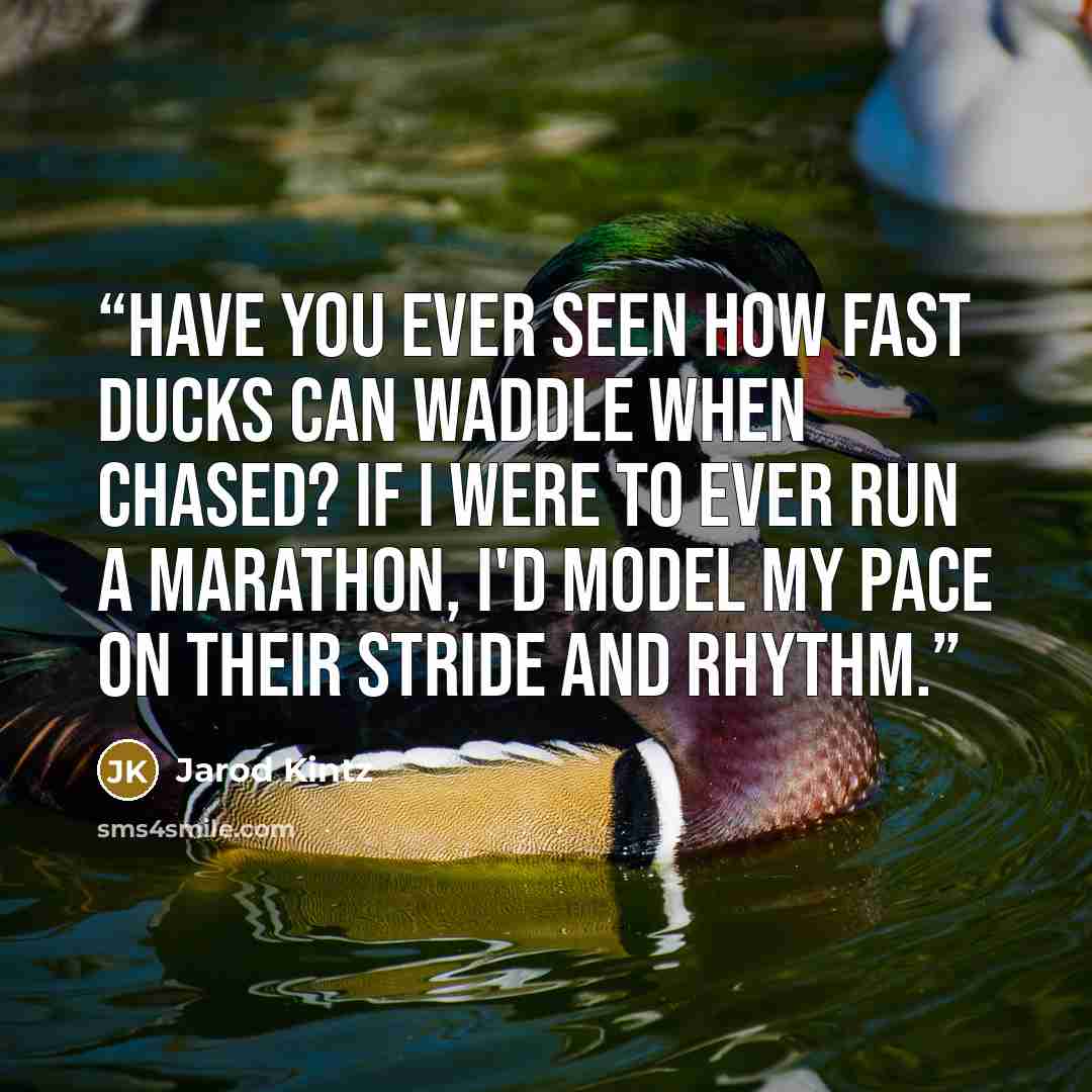“Have you ever seen how fast ducks can waddle when chased? If I were to ever run a marathon, I'd model my pace on their stride and rhythm.” quote by Jarod Kintz