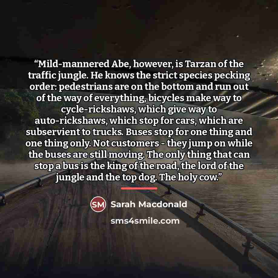 “Mild-mannered Abe, however, is Tarzan of the traffic jungle. He knows the strict species pecking order: pedestrians are on the bottom and run out of the way of everything, bicycles make way to cycle-rickshaws, which give way to auto-rickshaws, which stop for cars, which are subservient to trucks…” quote by Sarah Macdonald