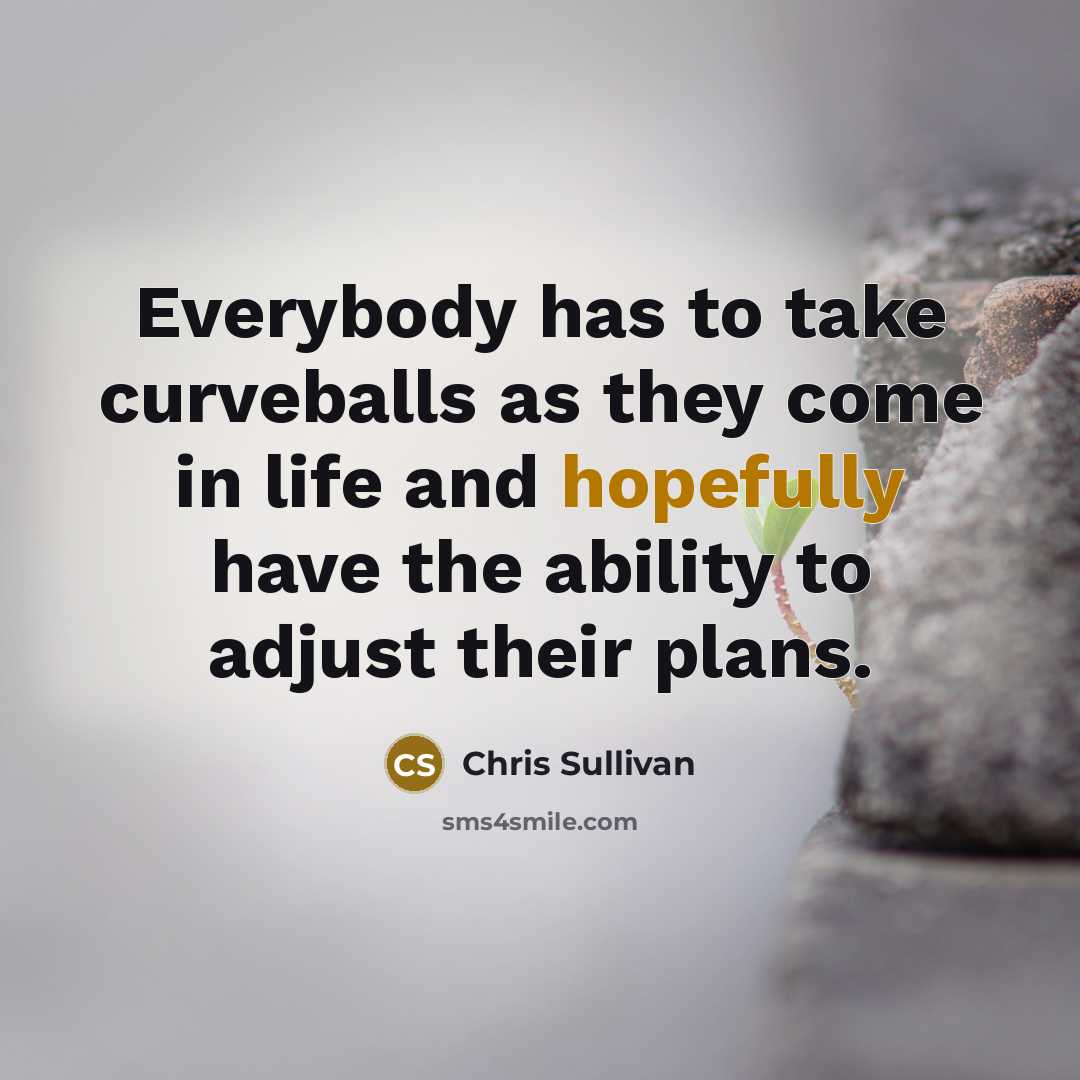 “Everybody has to take curveballs as they come in life and hopefully have the ability to adjust their plans.” quote by Chris Sullivan