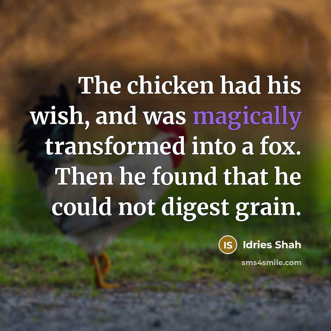 “The chicken had his wish, and was magically transformed into a fox. Then he found that he could not digest grain.” quote by Idries Shah