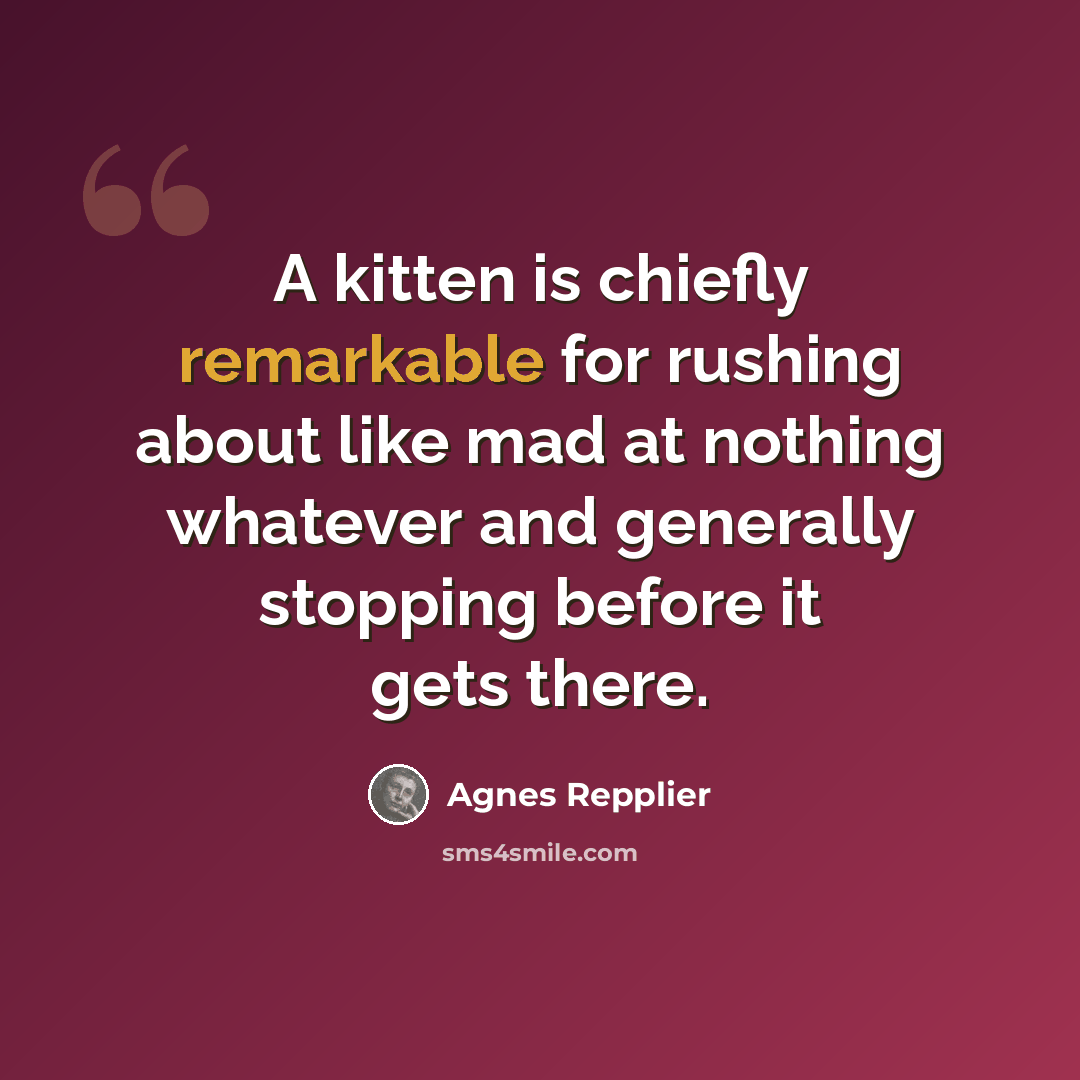 “A kitten is chiefly remarkable for rushing about like mad at nothing whatever and generally stopping before it gets there.” quote by Agnes Repplier