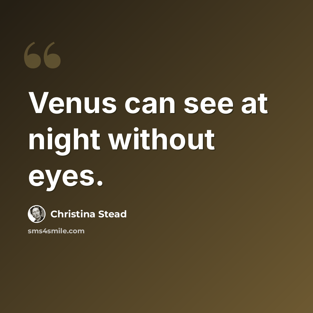 “Venus can see at night without eyes.” quote by Christina Stead
