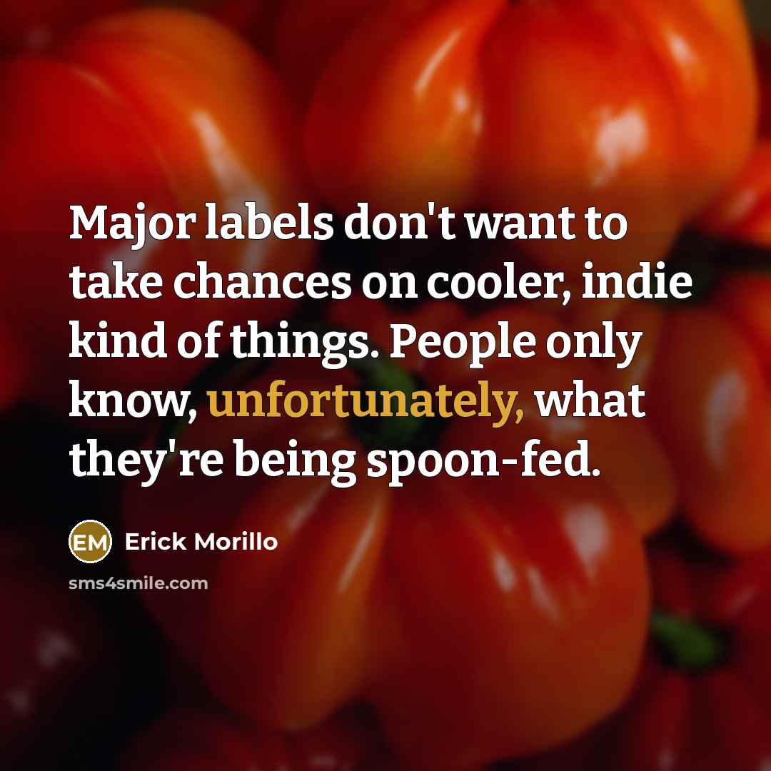 “Major labels don't want to take chances on cooler, indie kind of things. People only know, unfortunately, what they're being spoon-fed.” quote by Erick Morillo