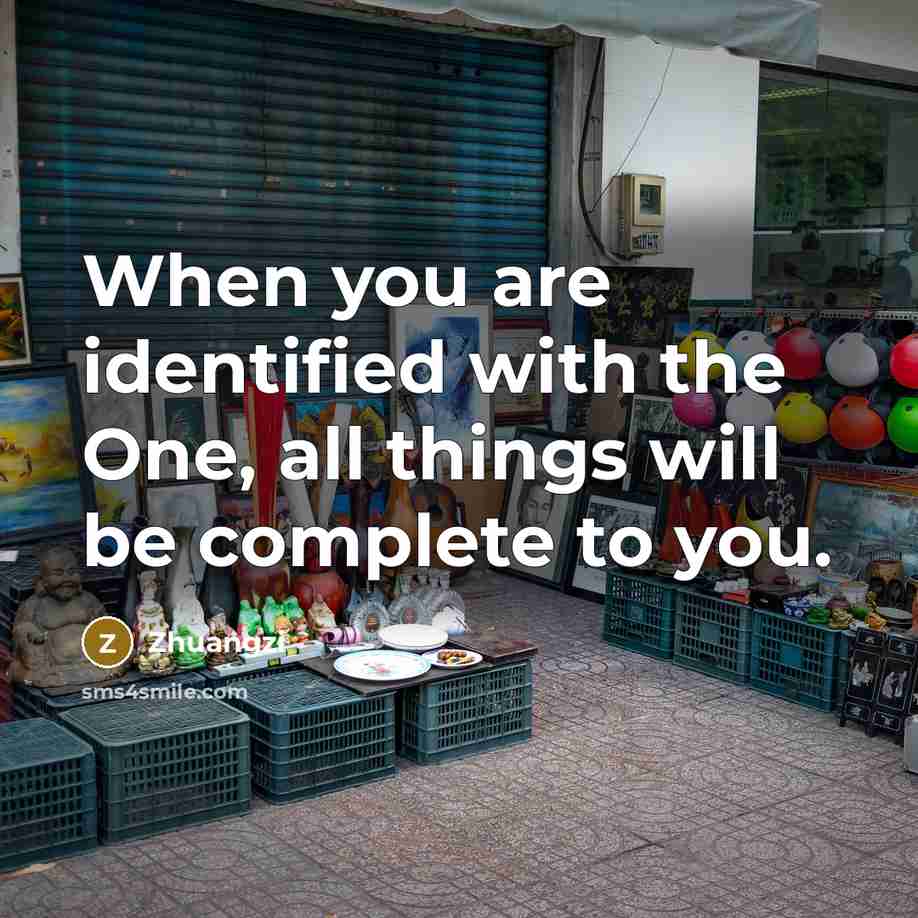 “When you are identified with the One, all things will be complete to you.” quote by Zhuangzi