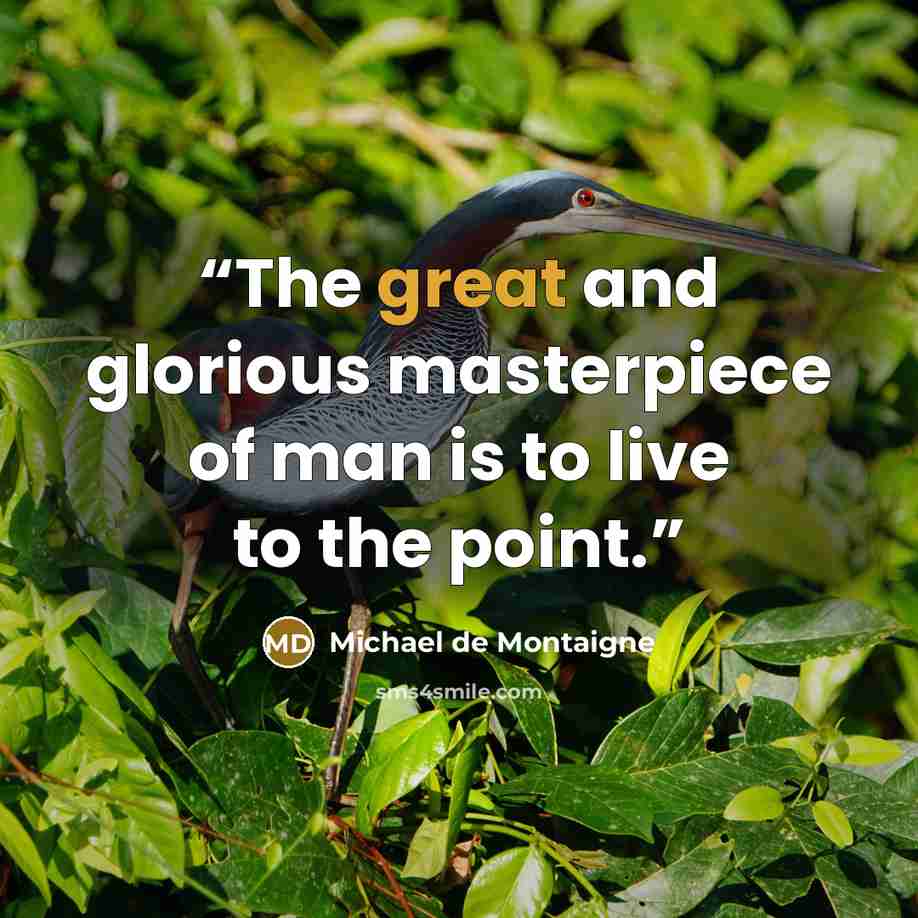 “The great and glorious masterpiece of man is to live to the point.” quote by Michael de Montaigne