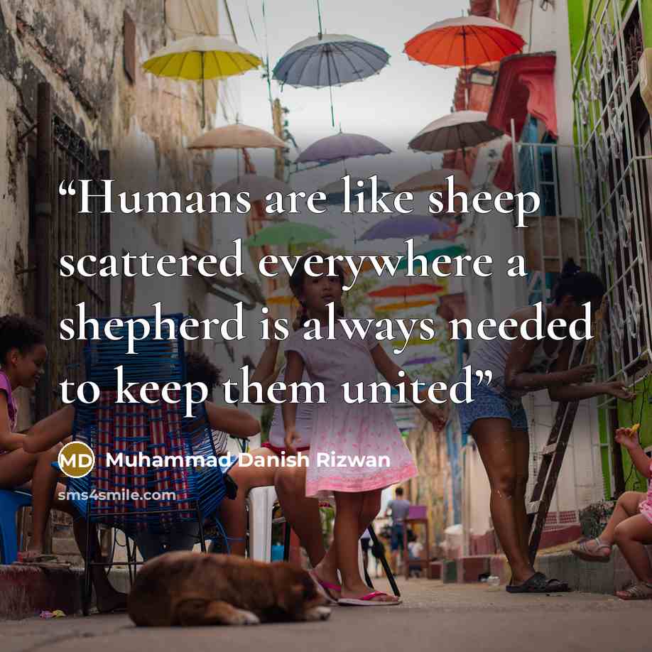 “Humans are like sheep scattered everywhere a shepherd is always needed to keep them united” quote by Muhammad Danish Rizwan