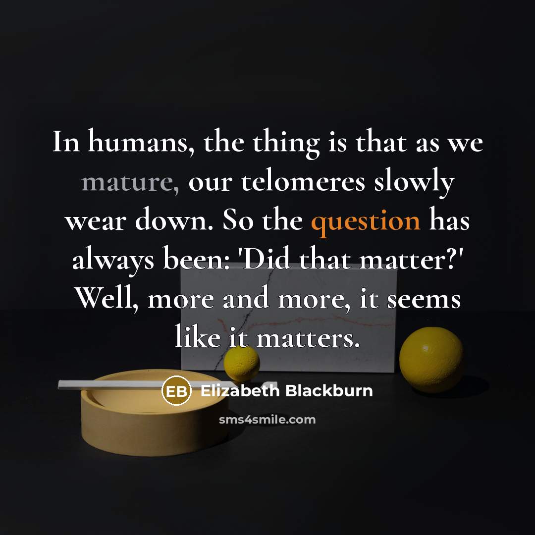 “In humans, the thing is that as we mature, our telomeres slowly wear down. So the question has always been: 'Did that matter?' Well, more and more, it seems like it matters.” quote by Elizabeth Blackburn