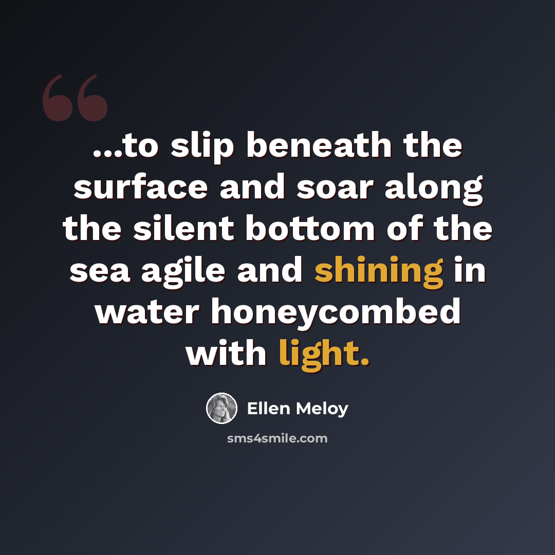 “...to slip beneath the surface and soar along the silent bottom of the sea agile and shining in water honeycombed with light.” quote by Ellen Meloy