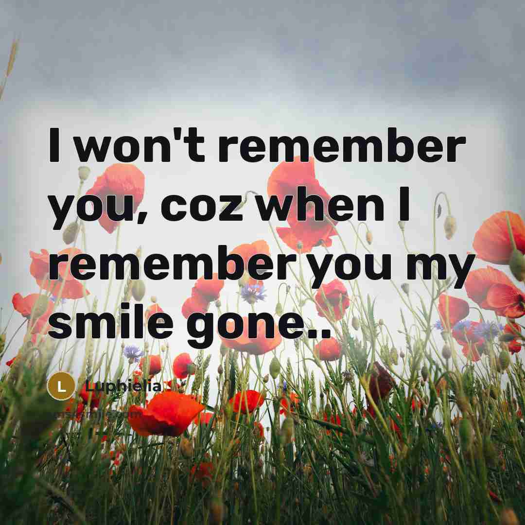 “I won't remember you, coz when I remember you my smile gone..” quote by Luphielia
