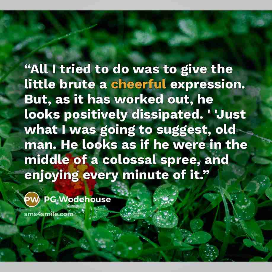“All I tried to do was to give the little brute a cheerful expression. But, as it has worked out, he looks positively dissipated. ' 'Just what I was going to suggest, old man. He looks as if he were in the middle of a colossal spree, and enjoying every minute of it.” quote by PG Wodehouse