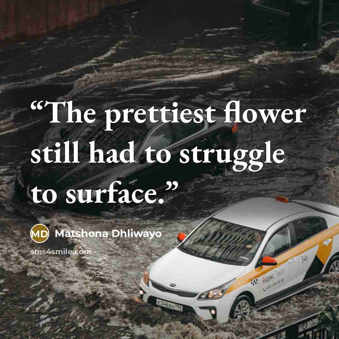 “The prettiest flower still had to struggle to surface.” quote by Matshona Dhliwayo