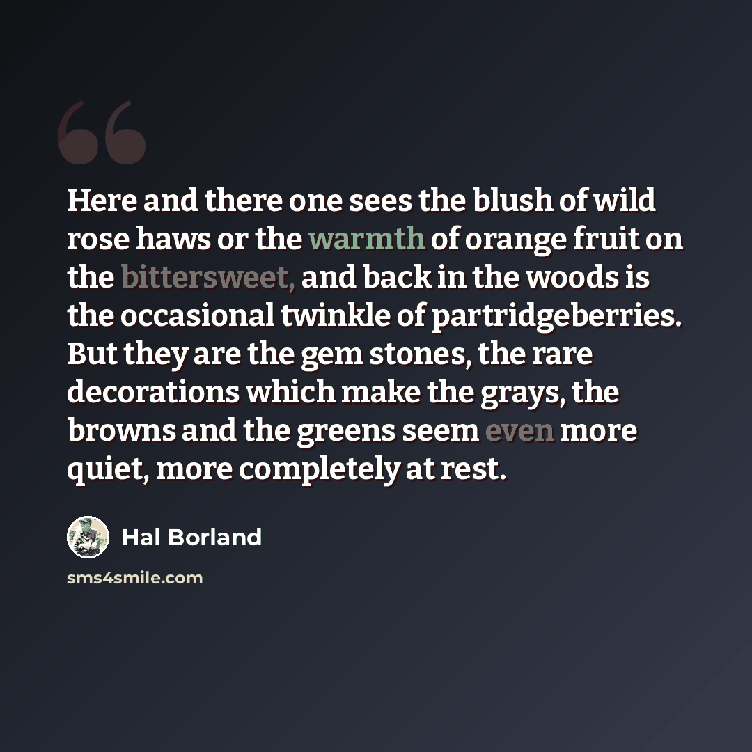 “Here and there one sees the blush of wild rose haws or the warmth of orange fruit on the bittersweet, and back in the woods is the occasional twinkle of partridgeberries. But they are the gem stones, the rare decorations which make the grays, the browns and the greens seem even more quiet, more…” quote by Hal Borland
