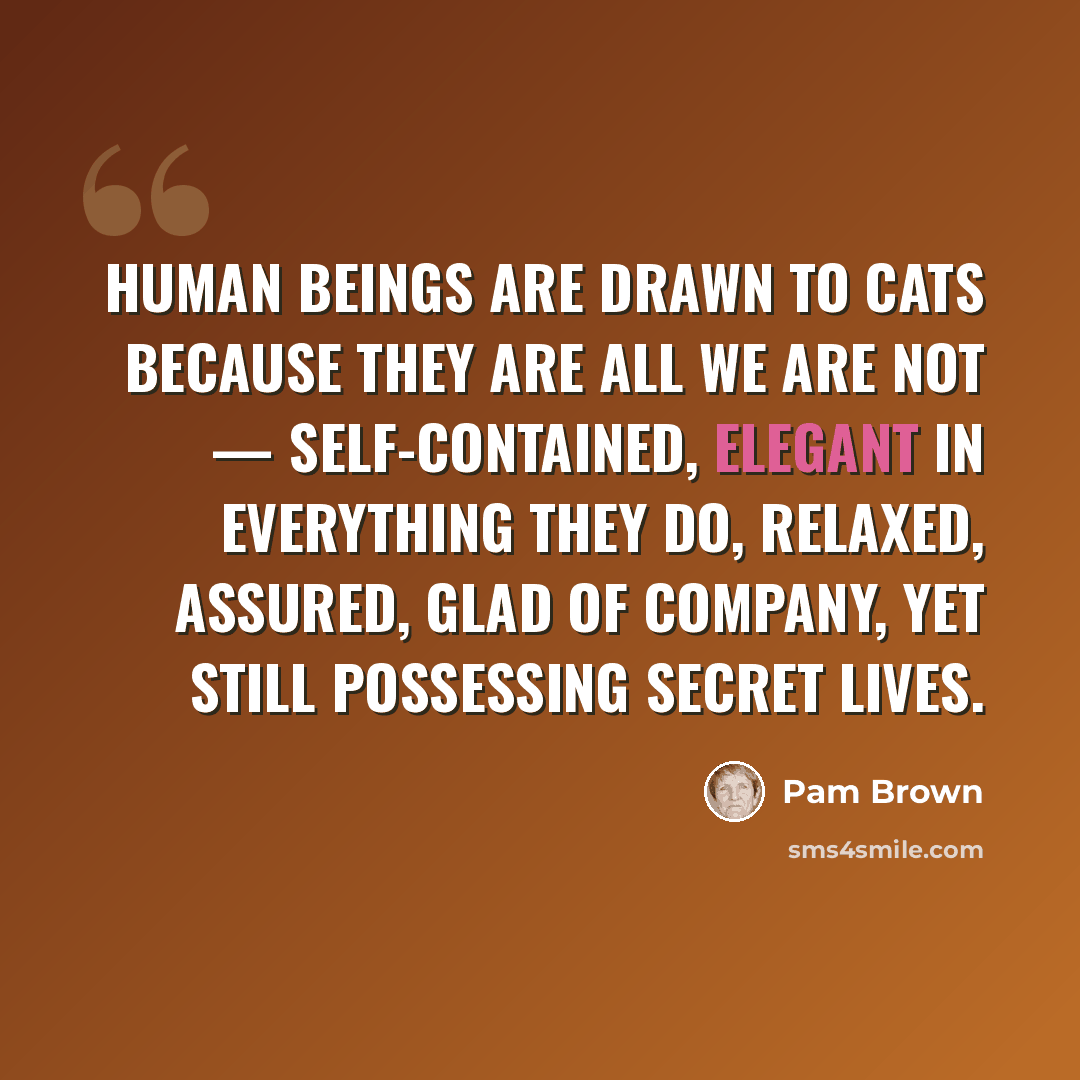 “Human beings are drawn to cats because they are all we are not — self-contained, elegant in everything they do, relaxed, assured, glad of company, yet still possessing secret lives.” quote by Pam Brown