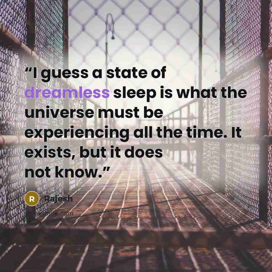 “I guess a state of dreamless sleep is what the universe must be experiencing all the time. It exists, but it does not know.” quote by Rajesh