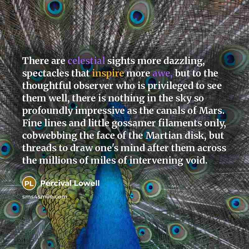 “There are celestial sights more dazzling, spectacles that inspire more awe, but to the thoughtful observer who is privileged to see them well, there is nothing in the sky so profoundly impressive as the canals of Mars. Fine lines and little gossamer filaments only, cobwebbing the face of the…” quote by Percival Lowell