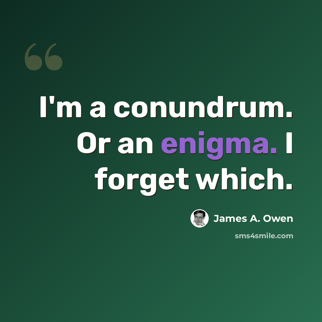 “I'm a conundrum. Or an enigma. I forget which.” quote by James A. Owen