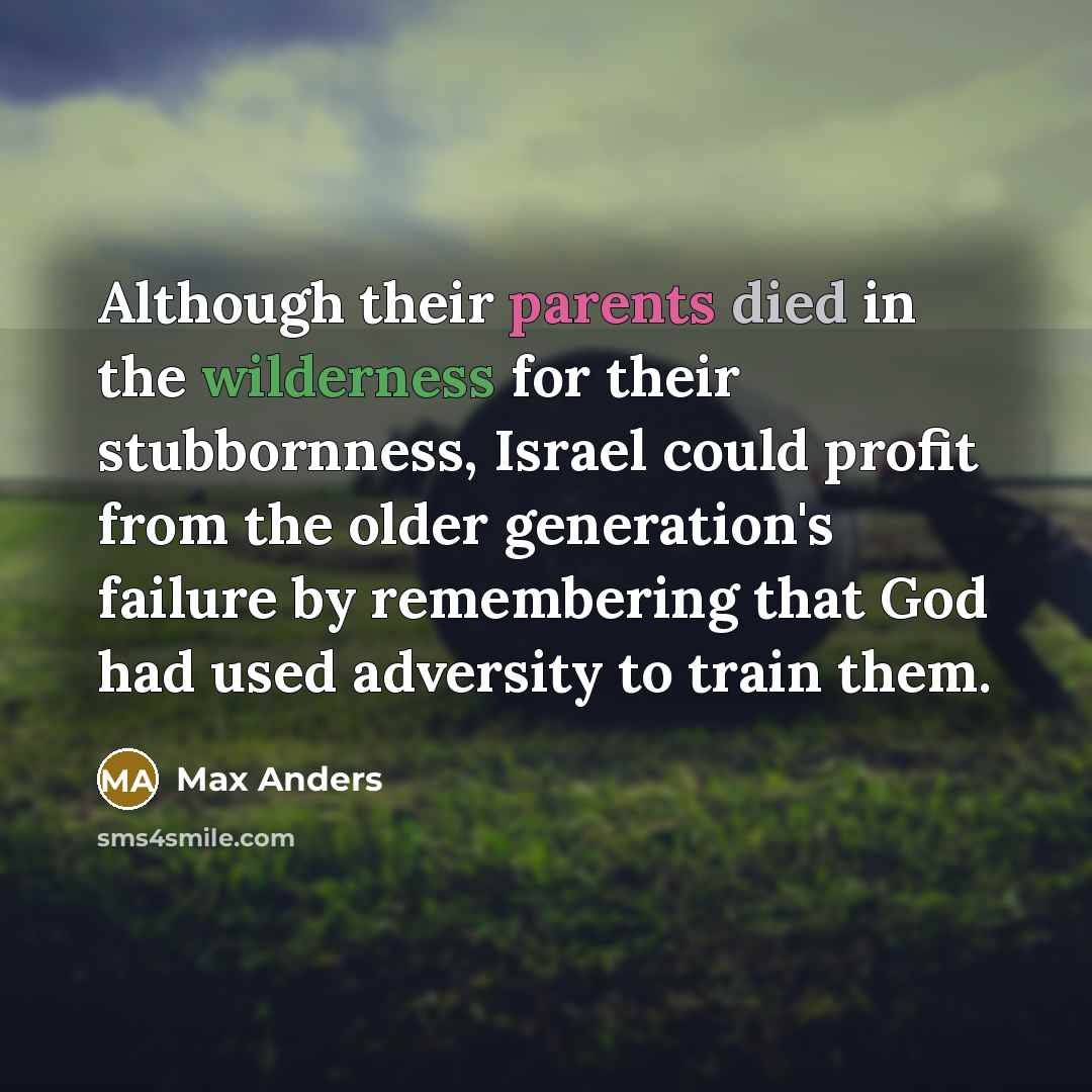 “Although their parents died in the wilderness for their stubbornness, Israel could profit from the older generation's failure by remembering that God had used adversity to train them.” quote by Max Anders