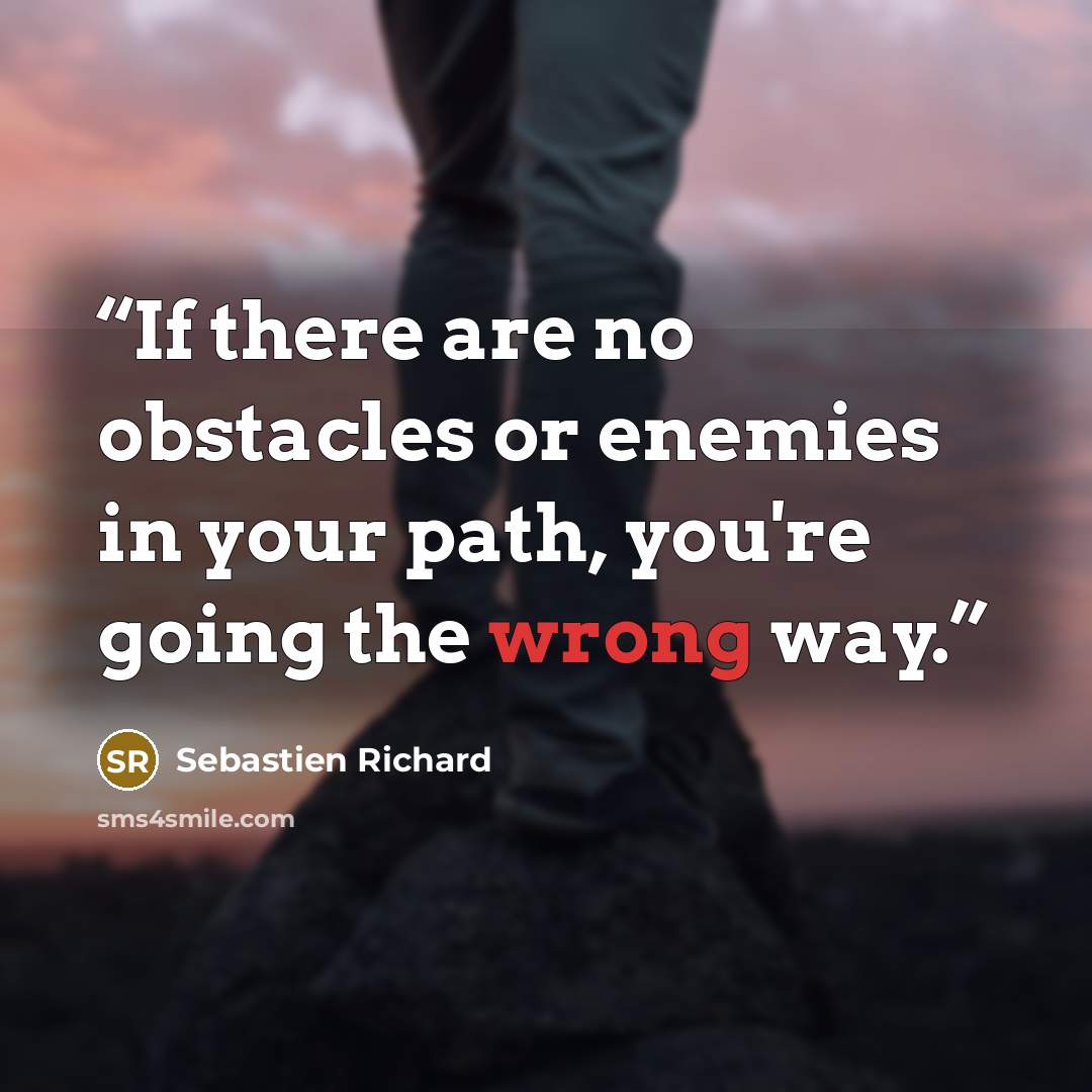 “If there are no obstacles or enemies in your path, you're going the wrong way.” quote by Sebastien Richard