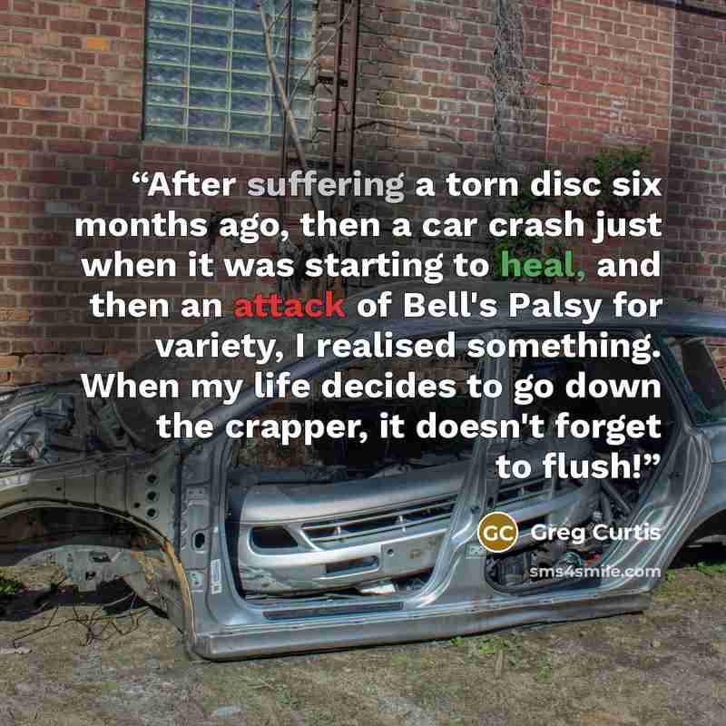 “After suffering a torn disc six months ago, then a car crash just when it was starting to heal, and then an attack of Bell's Palsy for variety, I realised something. When my life decides to go down the crapper, it doesn't forget to flush!” quote by Greg Curtis
