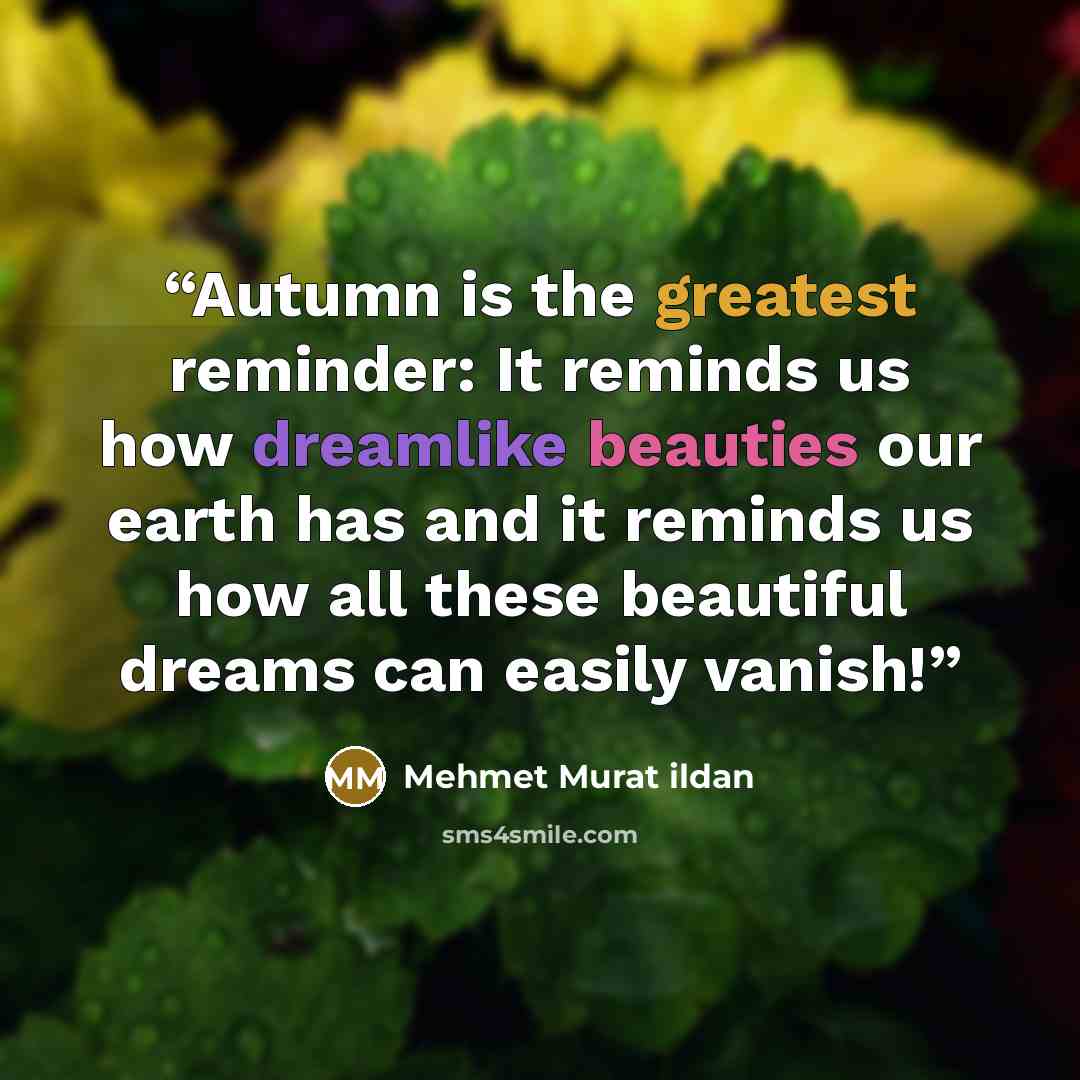 “Autumn is the greatest reminder: It reminds us how dreamlike beauties our earth has and it reminds us how all these beautiful dreams can easily vanish!” quote by Mehmet Murat ildan