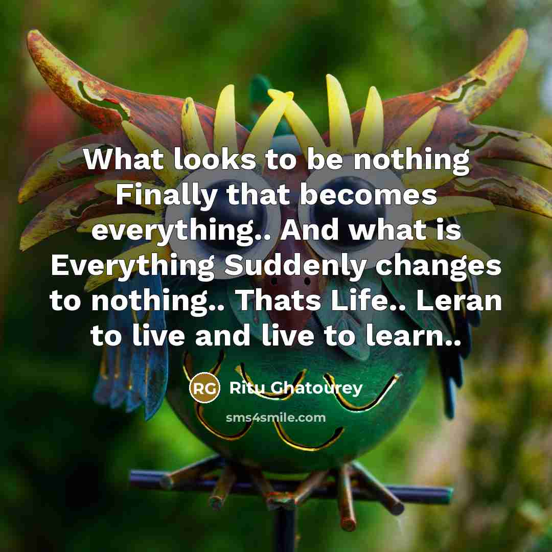 “What looks to be nothing Finally that becomes everything.. And what is Everything Suddenly changes to nothing.. Thats Life.. Leran to live and live to learn..” quote by Ritu Ghatourey