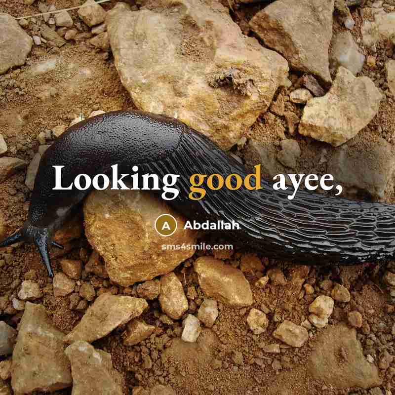 “Looking good ayee,” quote by Abdallah