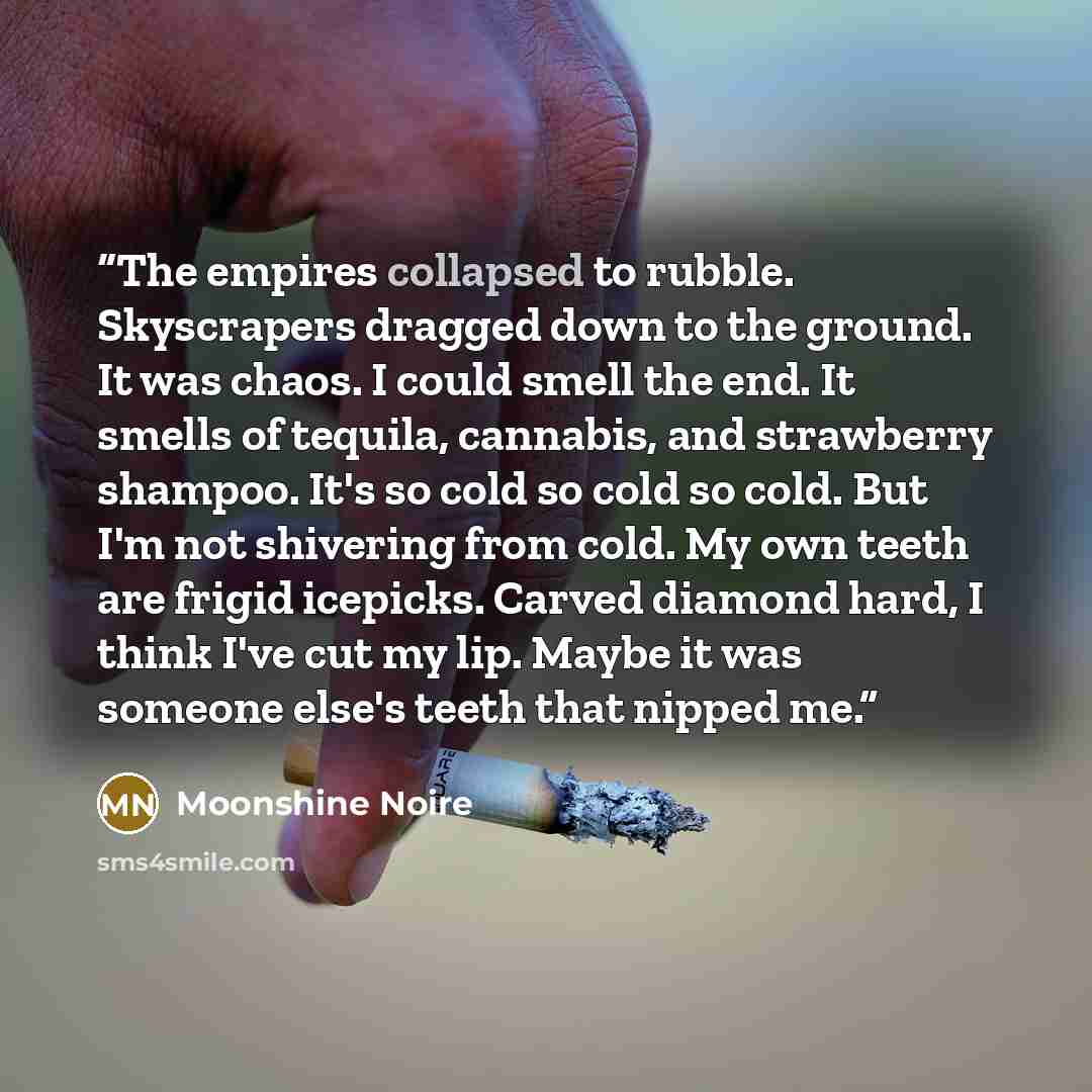 “The empires collapsed to rubble. Skyscrapers dragged down to the ground. It was chaos. I could smell the end. It smells of tequila, cannabis, and strawberry shampoo. It's so cold so cold so cold. But I'm not shivering from cold. My own teeth are frigid icepicks. Carved diamond hard, I think I've…” quote by Moonshine Noire