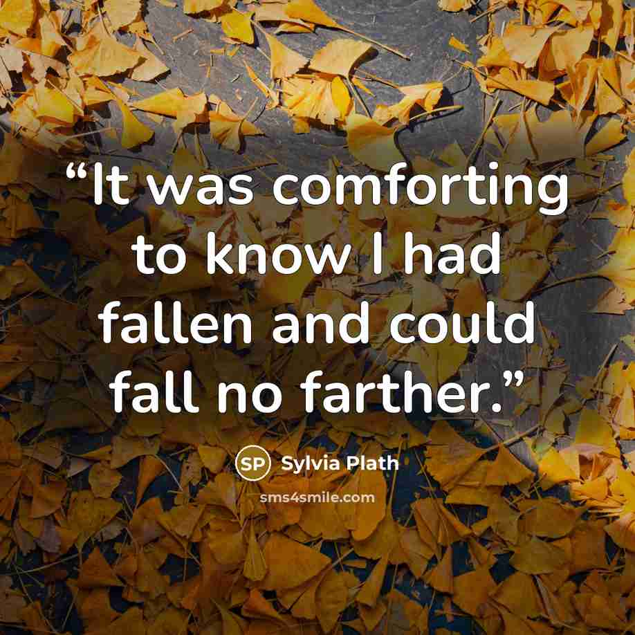 “It was comforting to know I had fallen and could fall no farther.” quote by Sylvia Plath