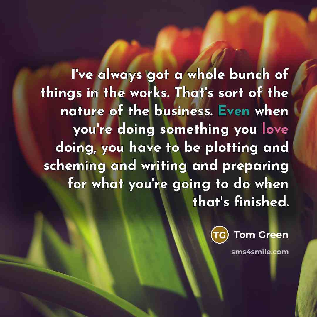“I've always got a whole bunch of things in the works. That's sort of the nature of the business. Even when you're doing something you love doing, you have to be plotting and scheming and writing and preparing for what you're going to do when that's finished.” quote by Tom Green