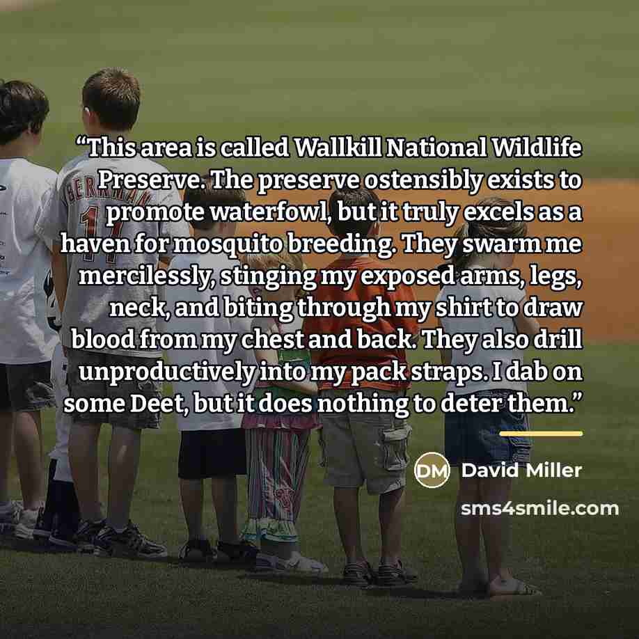 “This area is called Wallkill National Wildlife Preserve. The preserve ostensibly exists to promote waterfowl, but it truly excels as a haven for mosquito breeding. They swarm me mercilessly, stinging my exposed arms, legs, neck, and biting through my shirt to draw blood from my chest and back…” quote by David Miller