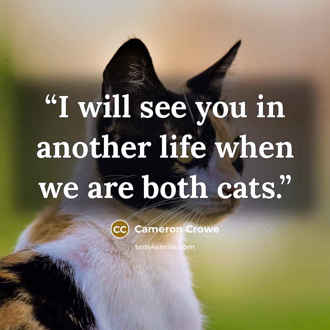“I will see you in another life when we are both cats.” quote by Cameron Crowe